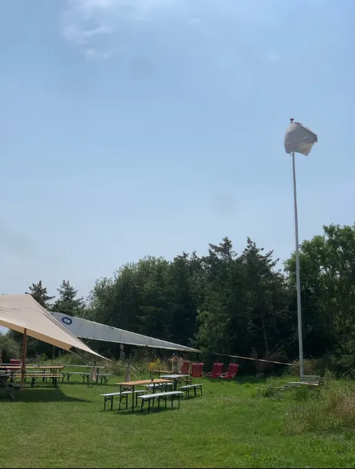 Udendørs opholdsplads med bålsted og bænke.